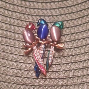 Colorful Parrot Brooch